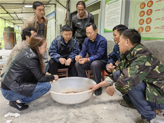 圖片關(guān)鍵詞 圖片關(guān)鍵詞