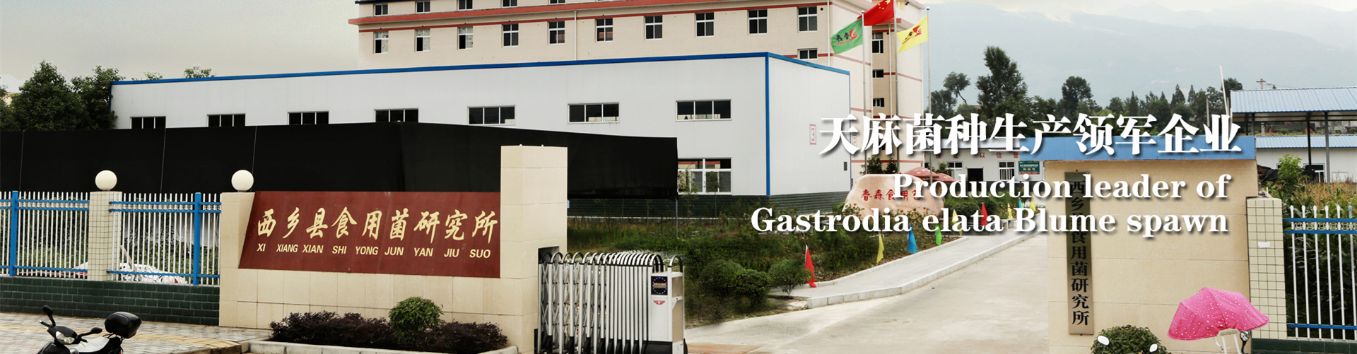 <strong>春森菌種，值得信賴(lài)</strong>