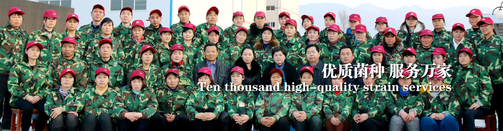 <strong>穩(wěn)定、放心，就選春森</strong>