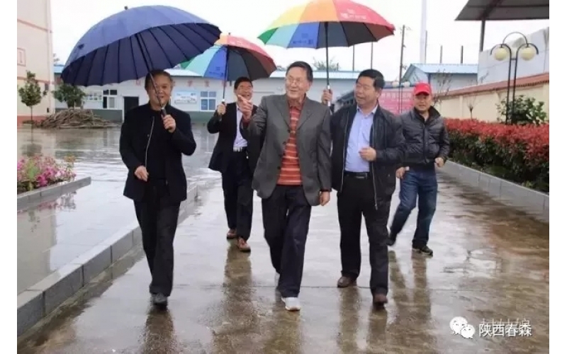 原西鄉(xiāng)縣委書記呂陽平受邀來訪西鄉(xiāng)縣食用菌研究所指導(dǎo)工作