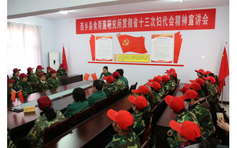 西鄉(xiāng)縣食用菌研究所召開2017年度工作總結(jié)會議暨2018年工作計劃會議