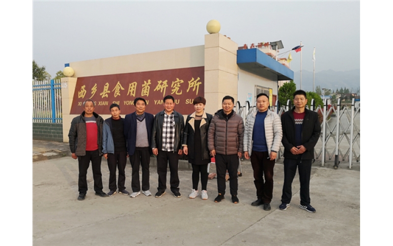 略陽(yáng)縣農(nóng)業(yè)農(nóng)村局副局長(zhǎng)文廣富一行蒞臨春森菌業(yè)參觀(guān)交流