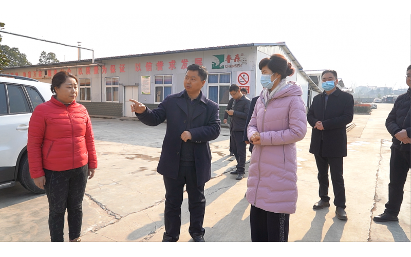 西鄉(xiāng)縣委副書記、縣長(zhǎng)王亞珍調(diào)研農(nóng)業(yè)產(chǎn)業(yè)發(fā)展工作